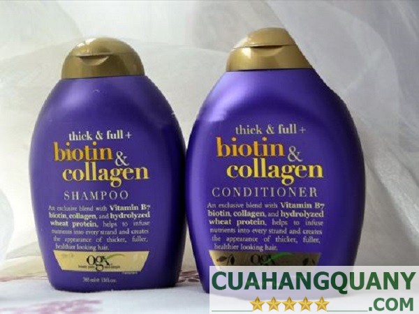 Thành phần chính của dầu gội trị rụng tóc Biotin Collagen