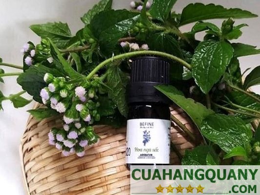 Tinh chất hoa ngũ sắc Organic hữu cơ nguyên chất