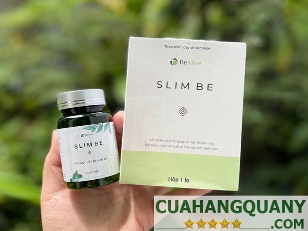 Thành phần chính của giảm cân Slim Be